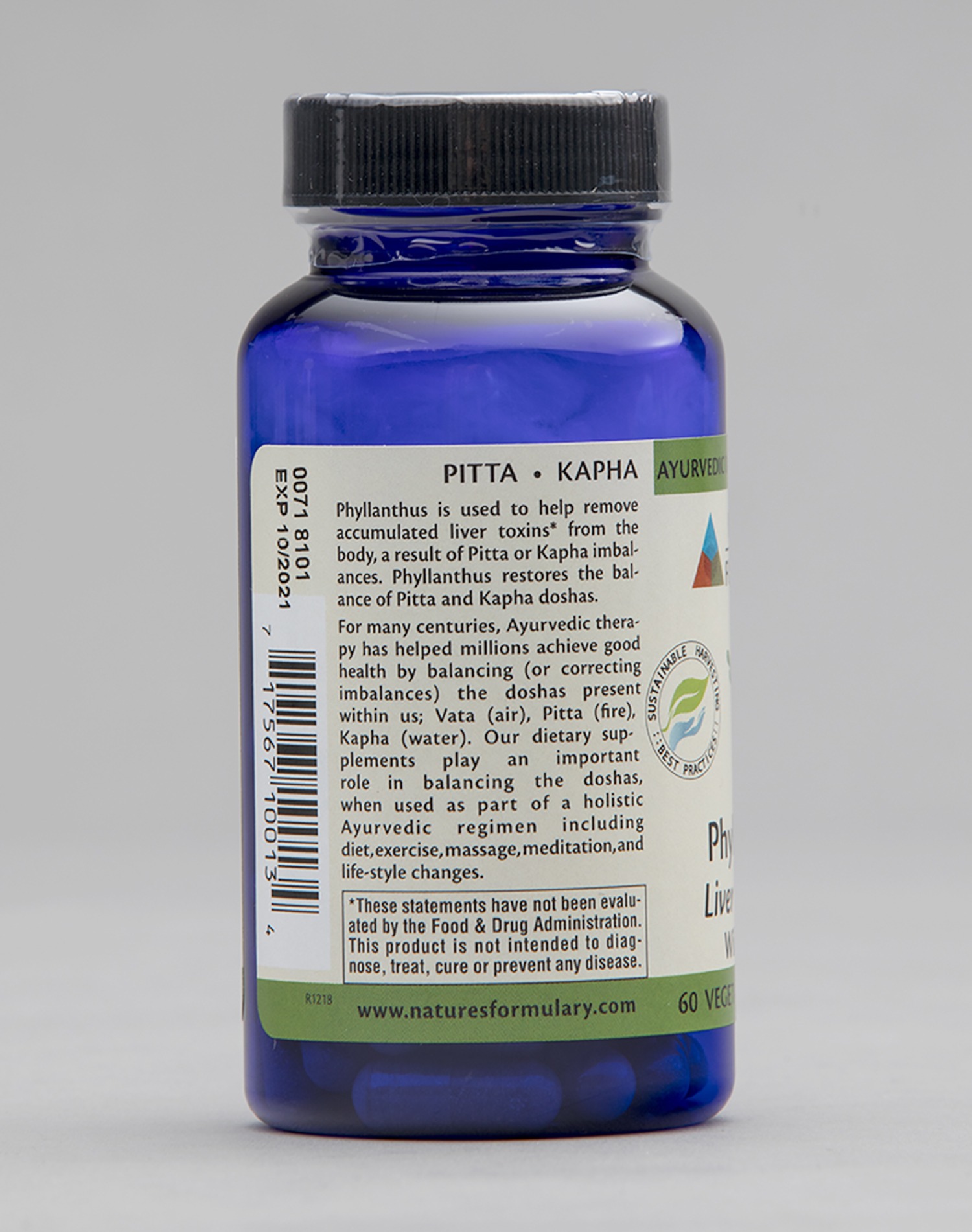 Phyllanthus - Image 2