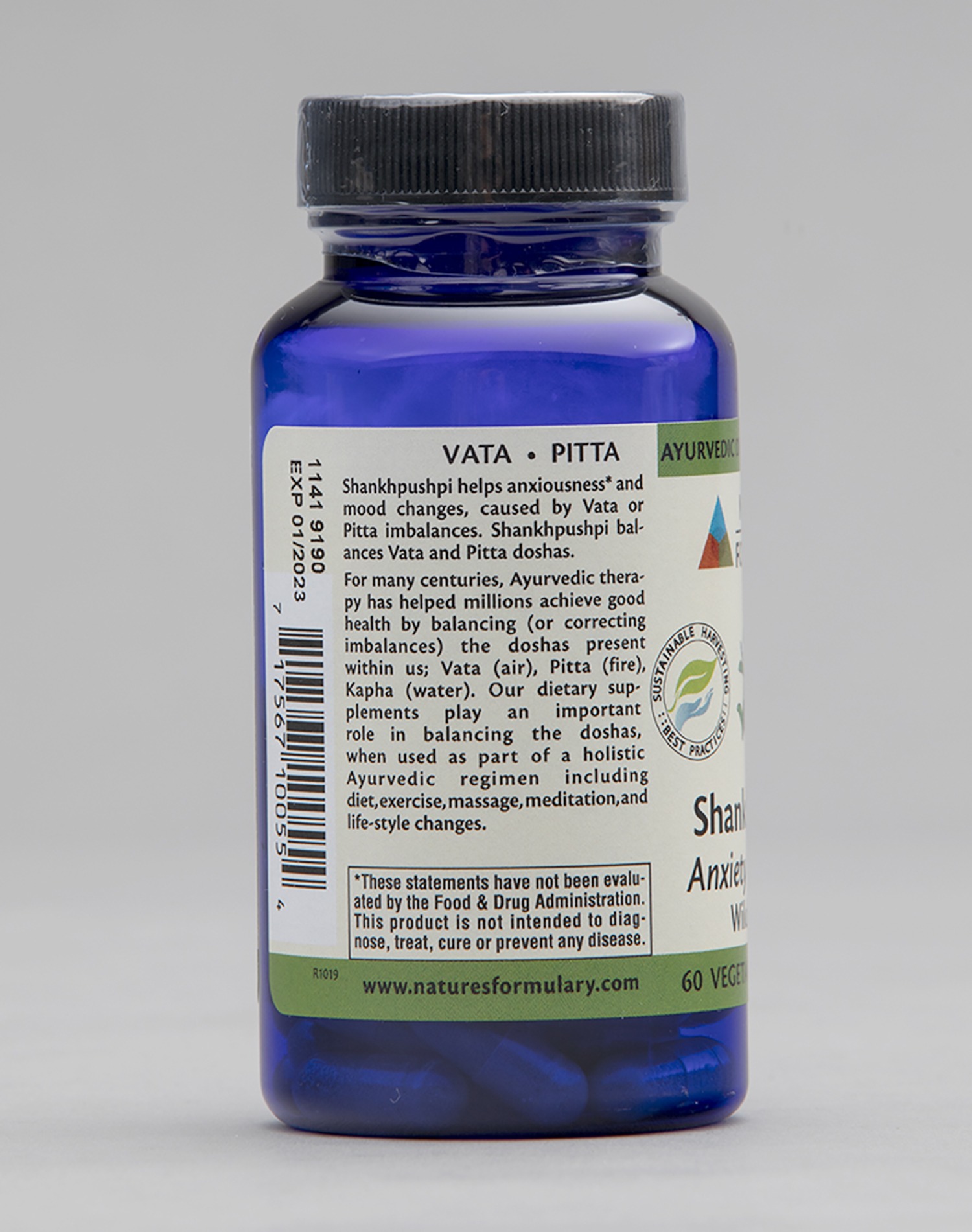 Shankhpushpi - Image 2